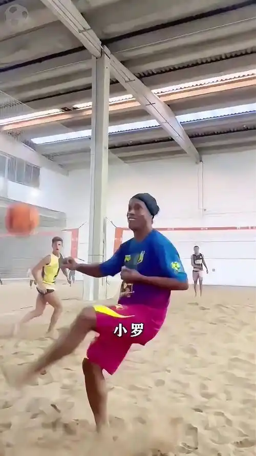 不仅凸显了 不仅凸显了